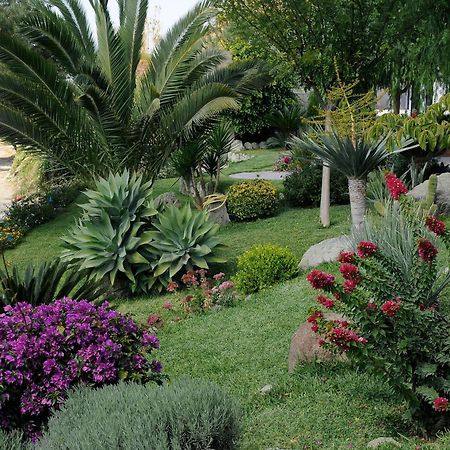 Apartament Casa Ischitana Forio di Ischia Zewnętrze zdjęcie