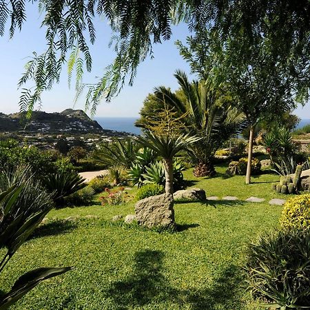 Apartament Casa Ischitana Forio di Ischia Zewnętrze zdjęcie