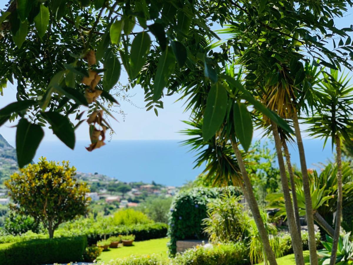 Apartament Casa Ischitana Forio di Ischia Zewnętrze zdjęcie