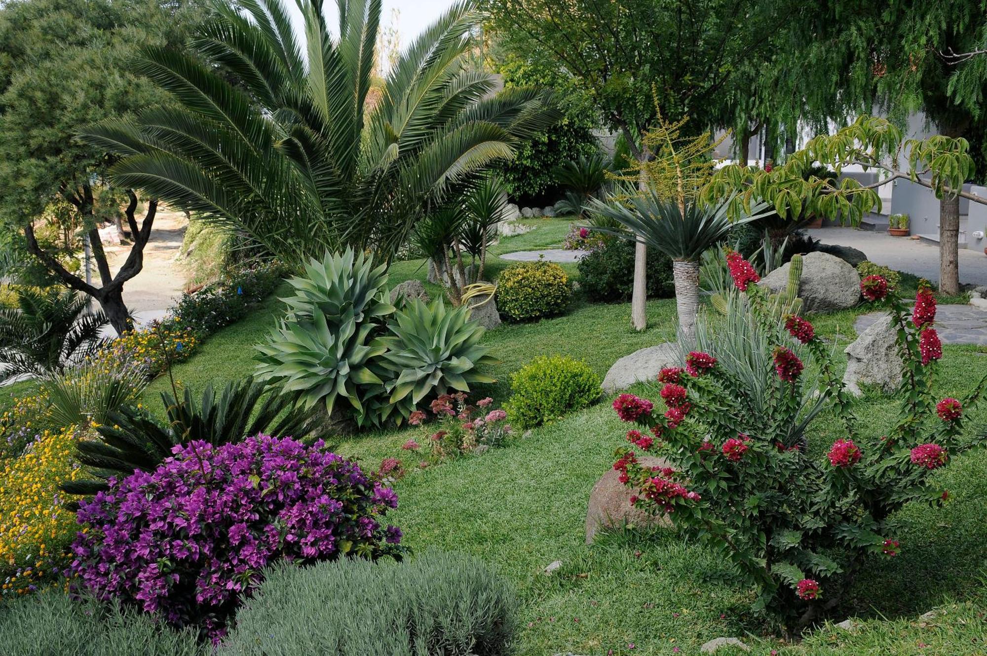 Apartament Casa Ischitana Forio di Ischia Zewnętrze zdjęcie