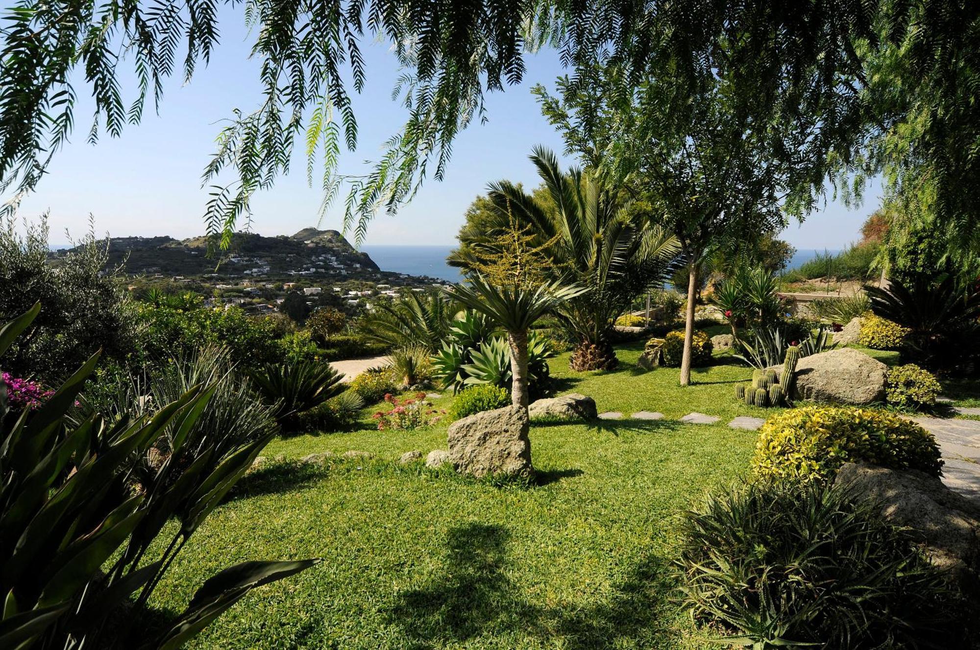 Apartament Casa Ischitana Forio di Ischia Zewnętrze zdjęcie