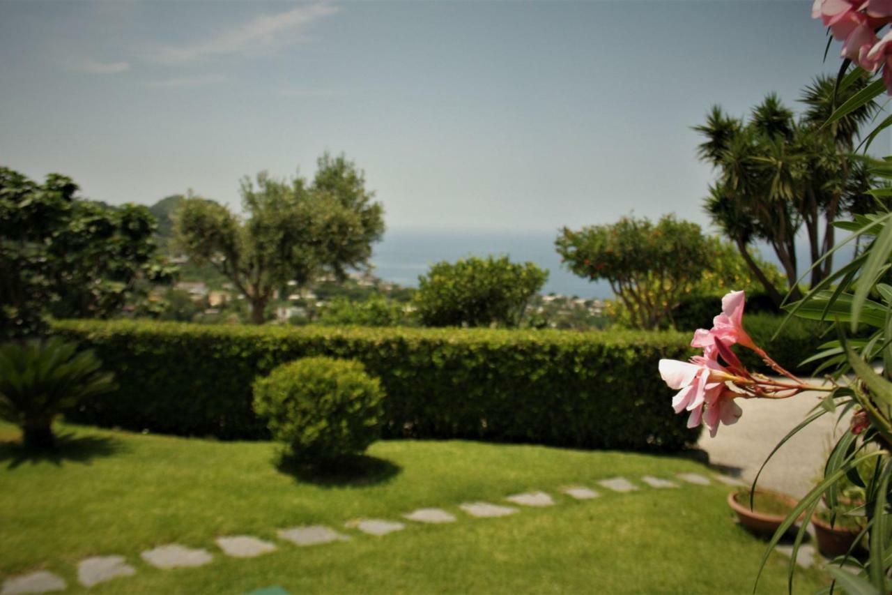 Apartament Casa Ischitana Forio di Ischia Zewnętrze zdjęcie