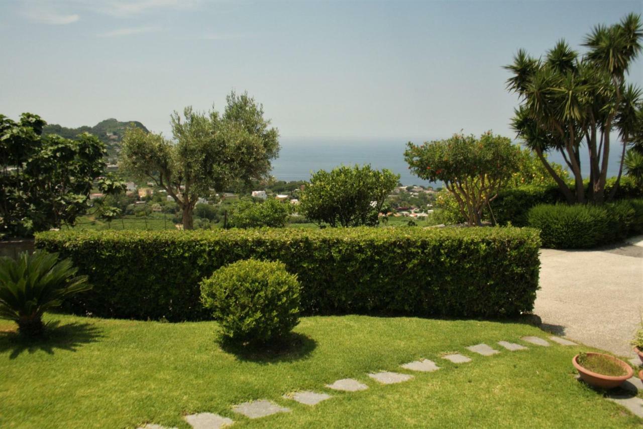 Apartament Casa Ischitana Forio di Ischia Zewnętrze zdjęcie